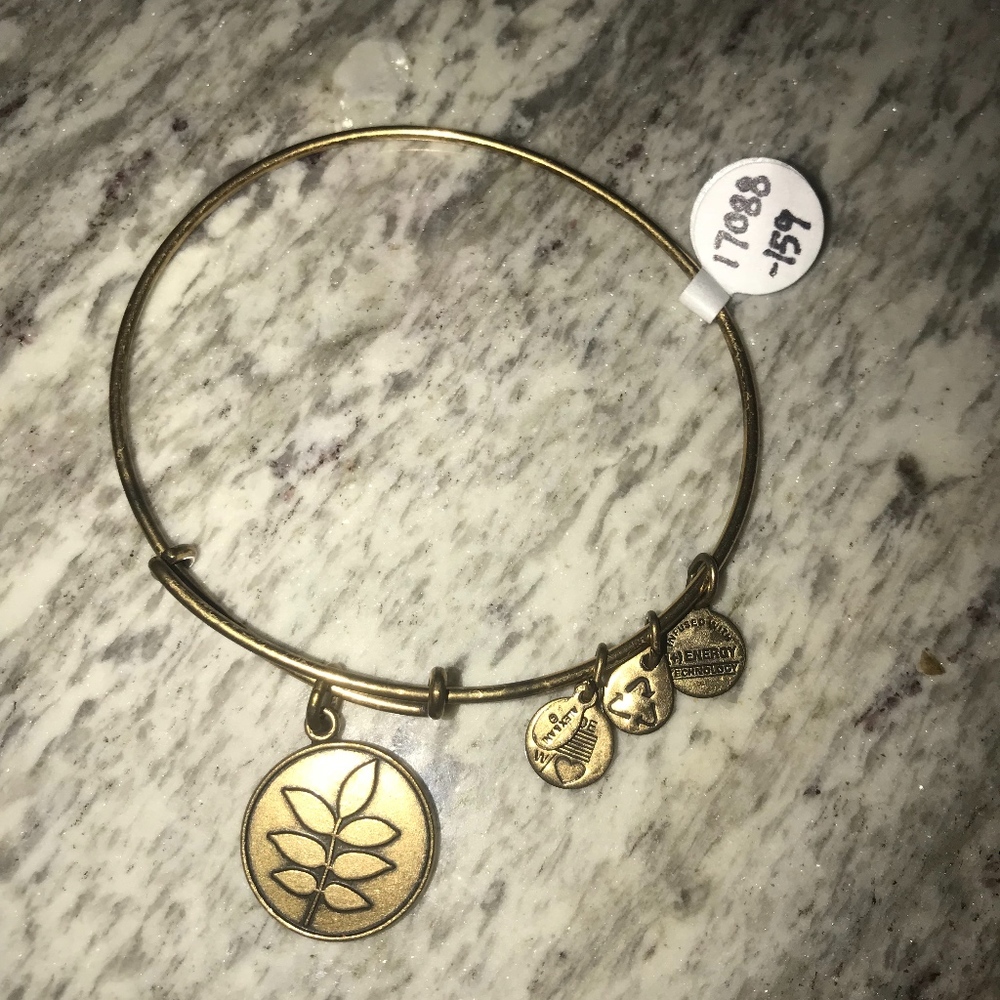 Alex and ani leaf bangle